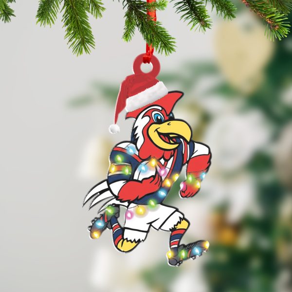 Sydney Roosters Custom Shape 2-sided Acrylic Ornament – HOATT 6371