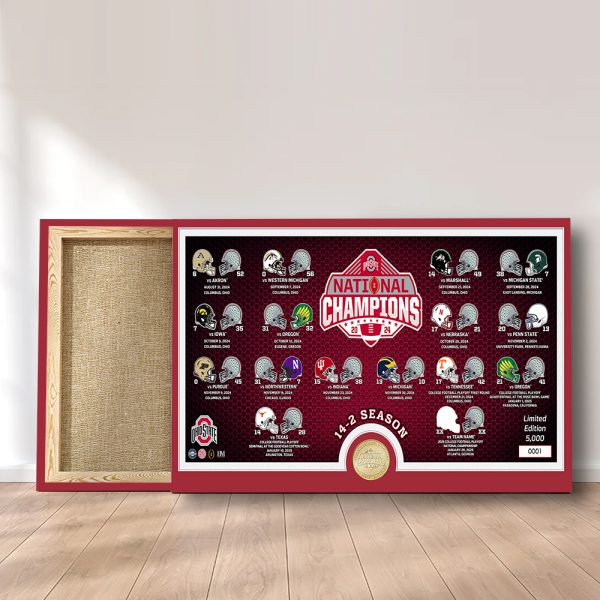 Ohio State Buckeyes Football Rectangle Canvas With Inner Frame - MAITM 9677