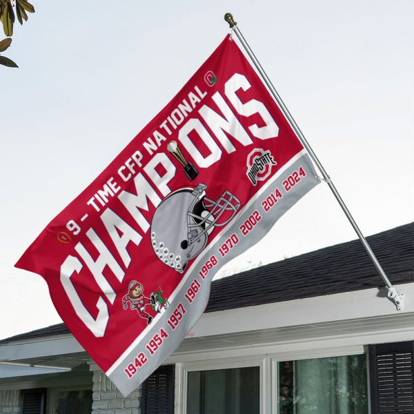 Ohio State Buckeyes Football 3D House Flag - MAITM 9718