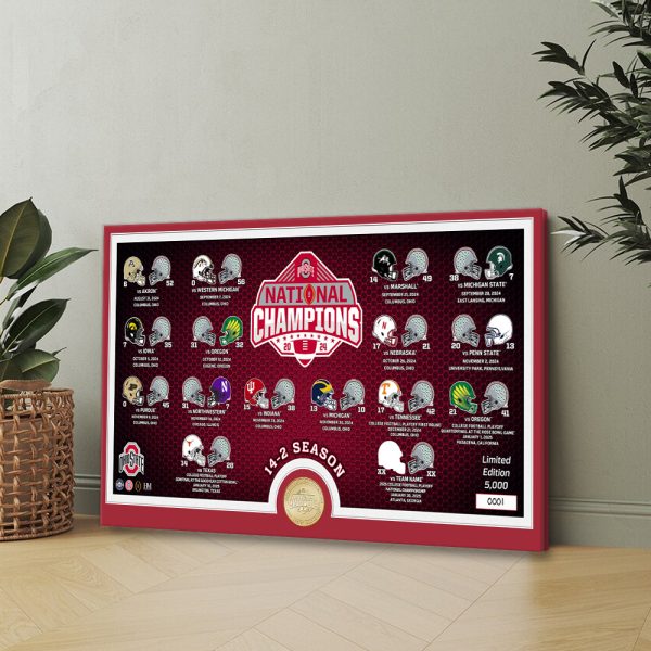 Ohio State Buckeyes Football Rectangle Canvas With Inner Frame - MAITM 9677