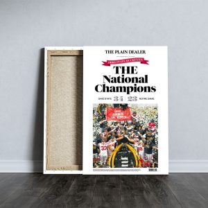 Ohio State Buckeyes Football	Rectangle Canvas With Inner Frame - TANTN 10676