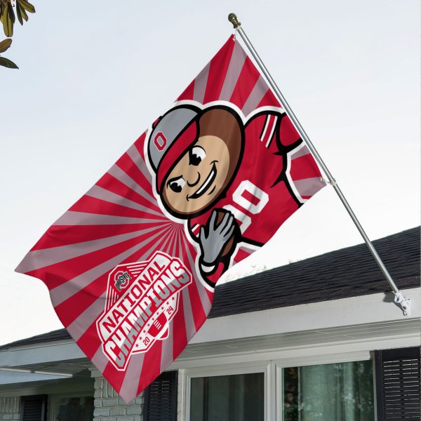 Ohio State Buckeyes Football 3D House Flag - HOATT 8250