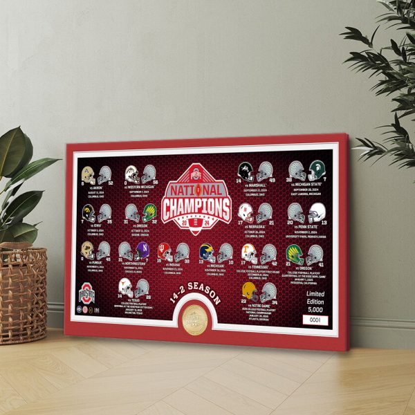 Ohio State Buckeyes Football Rectangle Canvas With Inner Frame - MAITM 10076