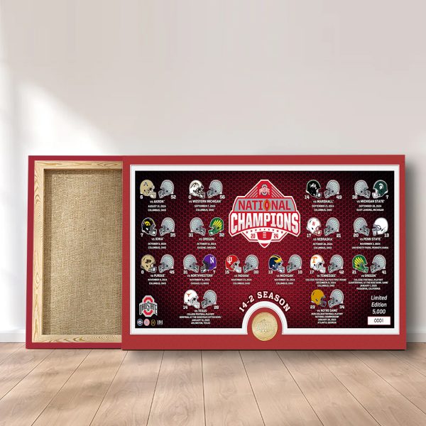 Ohio State Buckeyes Football Rectangle Canvas With Inner Frame - MAITM 10076