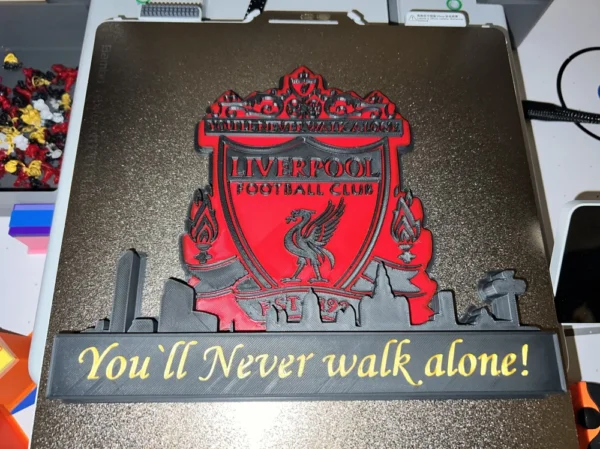Liverpool FC Skyline 3D Printed Decorative Plaque - GNE DROP574