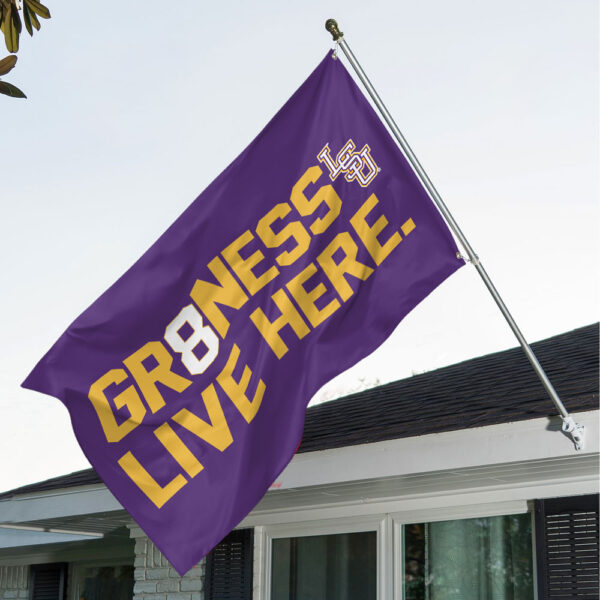 LSU Tigers Baseball 3D House Flag - GNE 3791